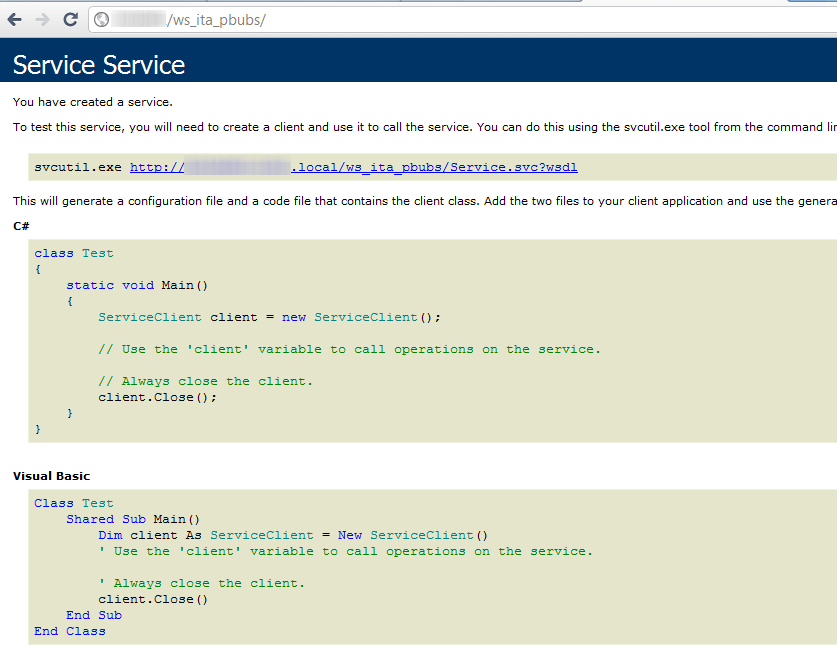 IIS Tunneling Web Service: Check functioning