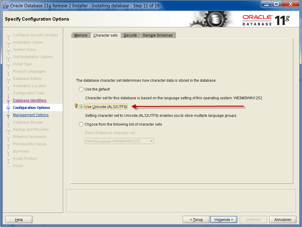Installatie Oracle 11g R2 op Windows: Unicode