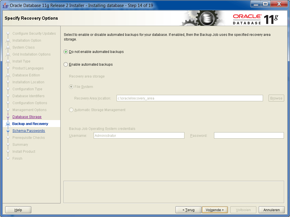 Installatie Oracle 11g R2 op Windows: Recovery opties