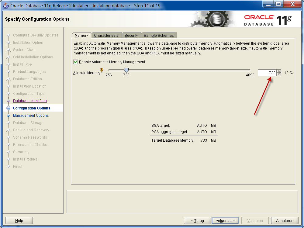 Installation Oracle 11g R2 on Windows: Memory