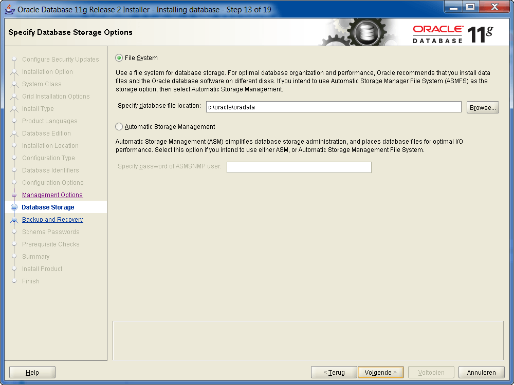 Installatie Oracle 11g R2 op Windows: Opslag opties